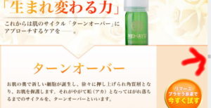 ターンオーバーの説明