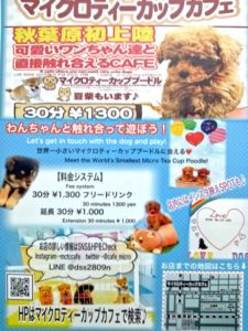 マイクロティーカップカフェ