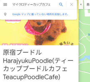 グーグルマップでマイクロティーカップカフェ